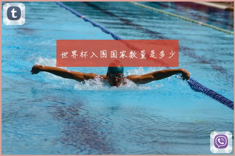世界杯入围国家数量是多少
